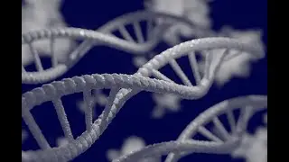 Marc Sitges Puy (Made of Genes) - Decrypting your genomic data privately in the cloud