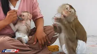 Mommy Luna With Baby Luka Enjoying Delicious Milk