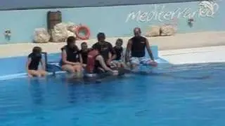 Kiss a Dolphin