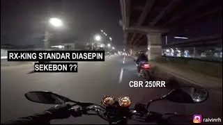 RX KING VS CBR250RR (Pure Sound #rxking) #motovlog