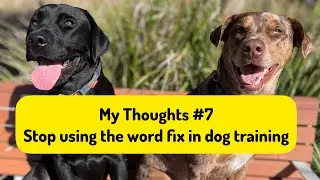 My Thoughts #7 - Stop using the word fix in dog training
