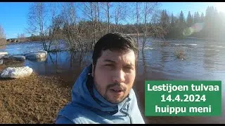 Lestijoen tulvaa 14.4.2024 katastrofilta vältyttiin