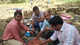 वनभोजन BNCMC SCHOOL NO 51 BHADWAD