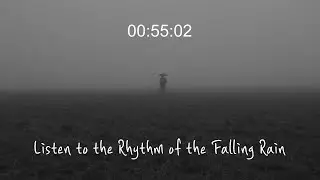 Listen to the rhythm of the falling rain with timer ⏰ (thunder rain)
