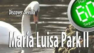 Sevilla Plan 60 Segundos Discover Mar&iacute;a Luisa Park II Sevilla