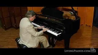 Hailun Model 150SE Baby Grand Piano for Sale – Premium Online Piano Store