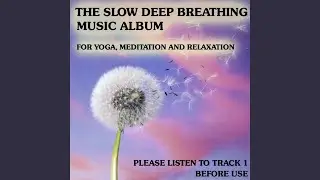 Please Listen Before Use (Track 1)