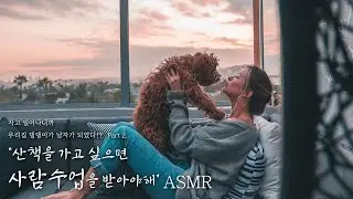 🐶남자가 된 우리집 강아지... 산책가고싶으면 인간수업을 받아야해!🦮 // 