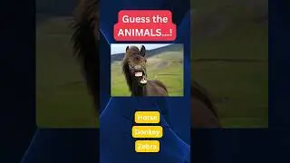 Guess the Animals: 24🐶🐱 Test Your Knowledge! 🧠🤯 #AnimalChallenge #TriviaTime #WildlifeGuessingGame