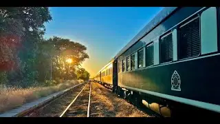 Driven Guineafowl & Francolin shooting with the legendary Rovos Rail Train 2024