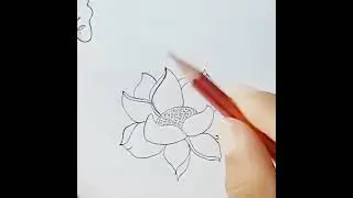 Beautiful flower  drawing with arts step by step for beginners #beautifularts #beautiflower #arts