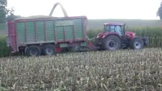 Claas Jaguar 950 + CVX 195 & Fendt 818 mit Strautmann Giga-Trailer 2246 Schafmeister Agrar