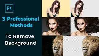 Remove Background Professionally | 3 Methods