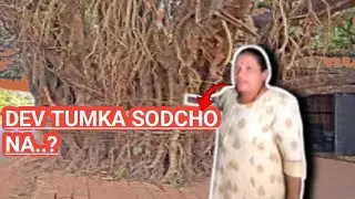 the lady from porvorim given message to goa government || see what she said || we will save the tree