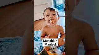 #shorts #chunky #munchkin #chunkybaby