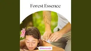 Forest Essence