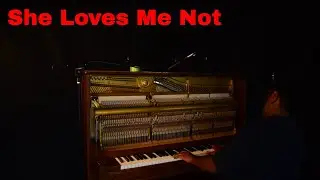 She Loves Me Not - piano solo by Arelius