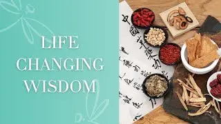 Best Life Changing Wisdom from Traditional Chinese Medicine for Your Health | Qi | Balance | Health