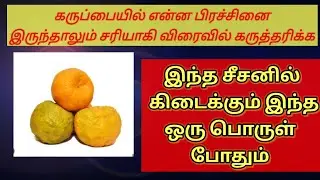 One best tip to conceive fast in Tamil| Fast Pregnancy tips in Tamil| #pregnancytips 
