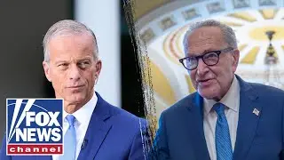 Government shutdown is used as 'leverage,' Democrat admits