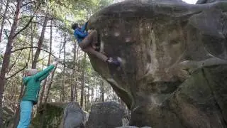 Alta 7C - Isatis / Fontainebleau