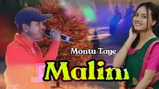 MALINI D&Eacute;M || Montu Taye || Saniya Taye || New Mising Song 2023-24 || NiBiN KO