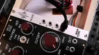 Wildsync Noise eurorack module