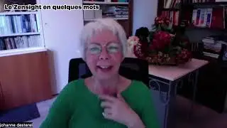 Le Zensight en quelques mots