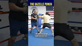 The GAZELLE Punch: NO ONE Sees It Coming! #boxing #boxingtraining #technique