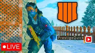 BackHander (Melee Weapon) Free For All | Black Ops 4 LIVE 2024