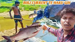 Current Te Haku Goi बिजली से मछली मारने|| Bijli Se Machli Marna | Gaon Ka Machli Shikar |