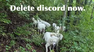 *OUTDATED* IF YOU USE DISCORD, YOUR IDENTITY IS AT RISK!  New ToS Update!!!