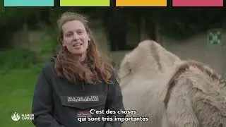Budget participatif de Namur : des projets citoyens pour renforcer la cohésion sociale