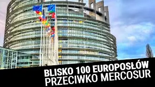 13.11: Mercosur a PE, lider AfD o Polsce, powstała partia TRUMP, reforma emerytalna we Francji