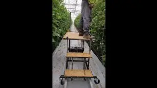 Fruit picking trolley