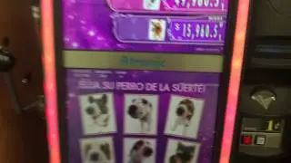 Atronic DOGGIE CASH&trade; Multi Level Progressive (MLP) System