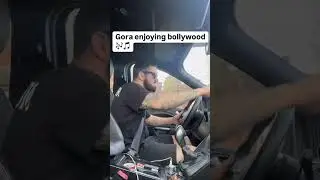 Gora enjoys Bollywood music 🎧 in #youtubeshorts #trandingshorts #ytshorts #bollywood songs ywood
