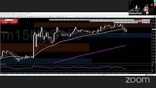 LionsDenFx Live Zoom on YouTube