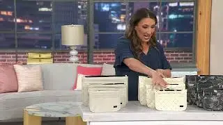 Periea Set of 3 Faux Leather Purse Organizers on QVC