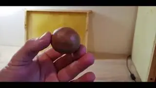 JAK ODDZIELIĆ PROPOLIS OD WOSKU 2 METODY