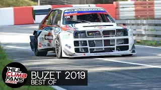 BEST of Hill Climb BUZET 2019 ☆HCF☆