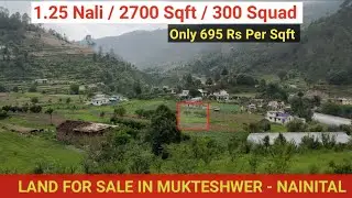 LAND FOR SALE | PADAMPURI - NAINITAL | 1.25 NALI / 2700 SQFT | 15 Lac Only | #NainitalPropertywala