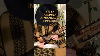 Meditations On Charango, Deepsleep live music