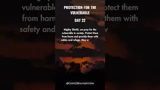 Day 22 Protection for the Vulnerable #30DaysOfPrayer #SeekingGod #TransformativePrayer