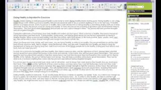 CorrectEnglish product overview and demonstration