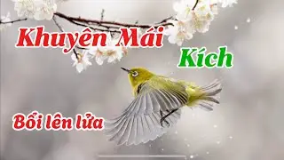 Khuyên Bổi Bị Khuyên Mái Gạ Gẫm Lên Lửa | Nhật Ký Vành Khuyên