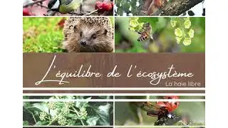La haie libre... Tr&eacute;sor de biodiversit&eacute; - Odile, votre coach jardin