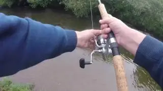 River ehen salmon.