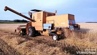 Jadą pukos kładą żniwa 2019 😎