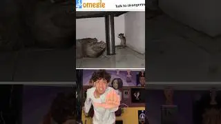 Real life Tom & Jerry 😳 #viral